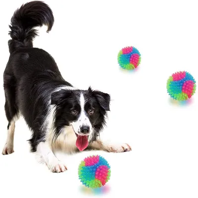 4 pièces balle LED qui saute pour chien et chat, amusant