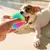 4 pièces balle LED qui saute pour chien et chat, amusant