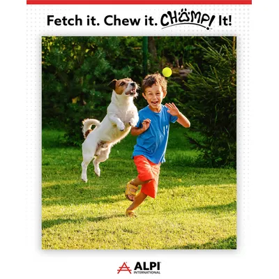 Chomp Ball – Robustes Kauspielzeug für aggressive Hunde, Neongelb