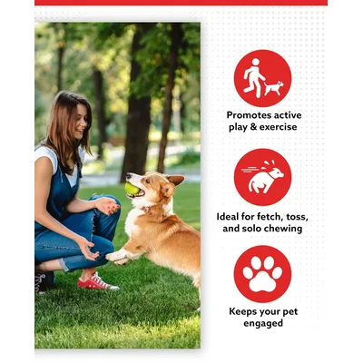 Chomp Ball – Robustes Kauspielzeug für aggressive Hunde, Neongelb