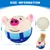 Jouet peluche tête de cochon – Rechargeable et lavable Jouet peluche tête de cochon – Rechargeable et lavable