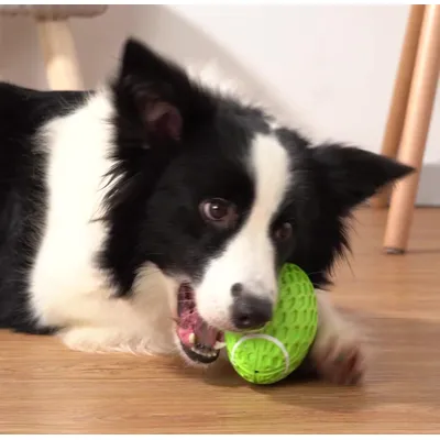 Gummi-Rugbyball mit Pfeife – Quietscher – Grün