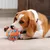 HausPets Pelota goma bicolor – Chirriante, superficie suave texturizada – HausPets Pelota goma bicolor – Chirriante, superficie suave texturizada –