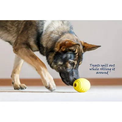 Rugbyball mit Leckerli-Spender – Anti-Stress, gegen Langeweile Rugbyball mit Leckerli-Spender – Anti-Stress, gegen Langeweile