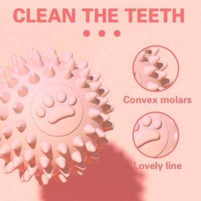 3 balles résistantes morsure – Dentition interactive – Toutes tailles