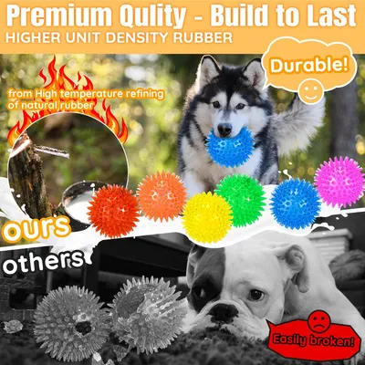 HausPets 6 pelotas chirriantes para perros – 9 cm con pinchos