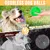 6 balles qui crient pour chien – 9 cm avec pics