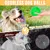 HausPets 6 pelotas chirriantes para perros – 9 cm con pinchos