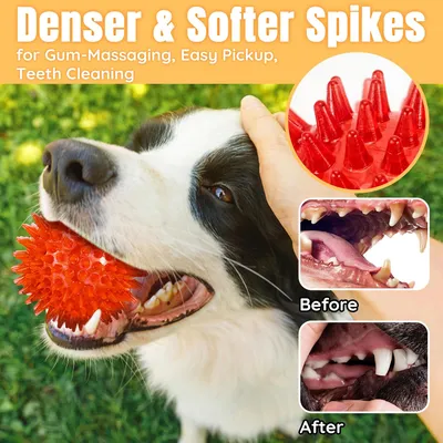 HausPets 6 pelotas chirriantes para perros – 9 cm con pinchos
