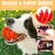 6 balles qui crient pour chien – 9 cm avec pics