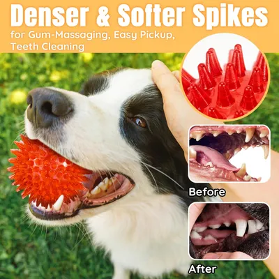 6 balles qui crient pour chien – 9 cm avec pics