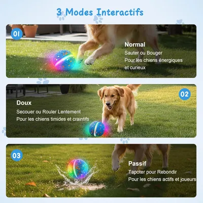 Balle interactive intelligente – 3 modes – Étanche – Lumières Balle interactive intelligente – 3 modes – Étanche – Lumières