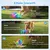 HausPets Pelota interactiva inteligente – 3 modos – al agua – Luces
