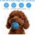 HausPets Pelota interactiva inteligente – 3 modos – al agua – Luces