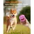 Lot 4 jouets chien peluche balle couineuse petite/moyenne taille