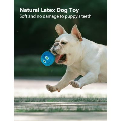 HausPets Juego 4 juguetes peluche perros, pelota sonido, tamaño pequeño