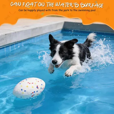 Unzerstörbarer Ball – Für große und mittelgroße Hunde