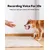 4 balles chien couineuses, caoutchouc latex, 2,7 pouces, petit/moyen