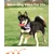 4 balles chien couineuses, caoutchouc latex, 2,7 pouces, petit/moyen