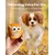 4 balles chien couineuses, caoutchouc latex, 2,7 pouces, petit/moyen