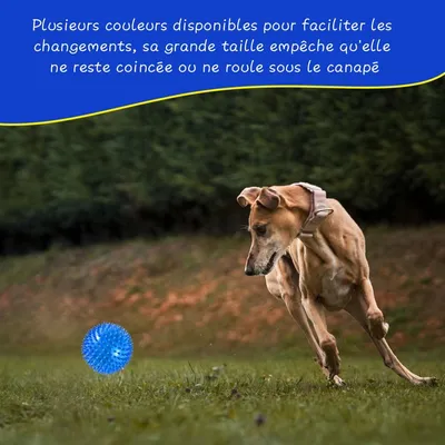 Lot 4 balles 11 cm – Couineuses, picots – Flottantes Lot 4 balles 11 cm – Couineuses, picots – Flottantes