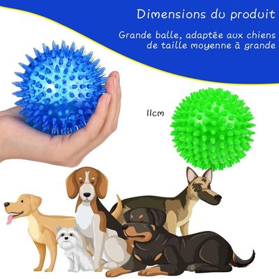 HausPets Juego de 4 pelotas 11 cm – Chirriantes, texturizadas – Flotantes