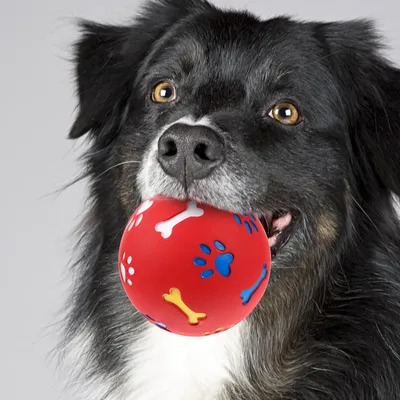 Roter Kunststoffball – Leckerli-Spender – Für große, kaufreudige Hunde Roter Kunststoffball – Leckerli-Spender – Für große, kaufreudige Hunde
