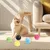 Rolling Dog Ball, jouet à mâcher, massage gencives, anti-ennui