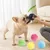 Rolling Dog Ball, jouet à mâcher, massage gencives, anti-ennui