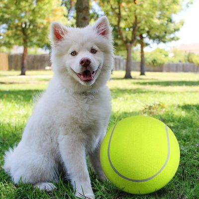 HausPets Pelota de tenis inflable grande de 24 cm – Para exteriores