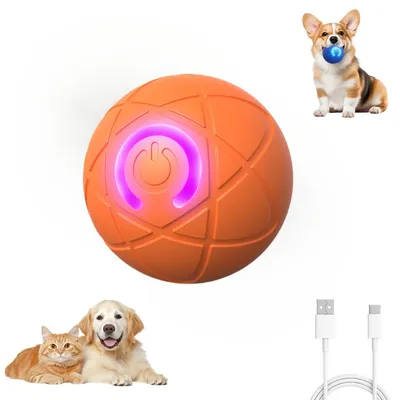 HausPets Jouet Balle Sauteuse Interactif Chien