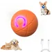 HausPets Interaktiver Hüpfball Hundespielzeug