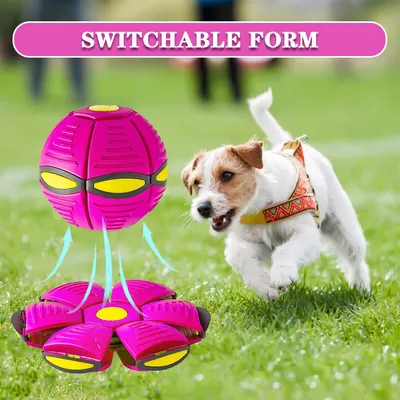 Balle soucoupe volante déformable – Magic frisbee – Rose Balle soucoupe volante déformable – Magic frisbee – Rose