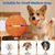 LED-Ball, 3 Modi, wasserdicht, aufladbar – für kleine/mittelgroße Hunde