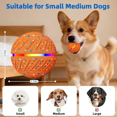 LED-Ball, 3 Modi, wasserdicht, aufladbar – für kleine/mittelgroße Hunde