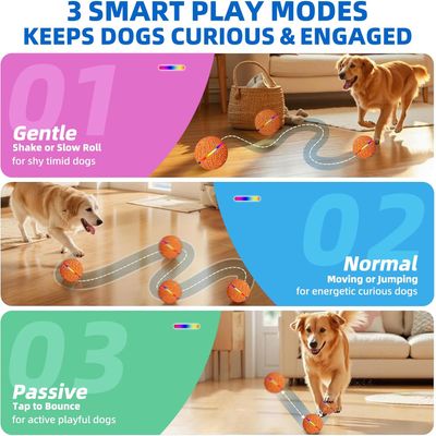 Balle LED 3 modes – Étanche, rechargeable – Petit/moyen chien