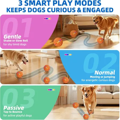 LED-Ball, 3 Modi, wasserdicht, aufladbar – für kleine/mittelgroße Hunde
