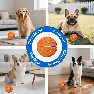 LED-Ball, 3 Modi, wasserdicht, aufladbar – für kleine/mittelgroße Hunde