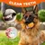 HausPets Juego de 3 pelotas indestructibles – Juego – Todos los tamaños HausPets Juego de 3 pelotas indestructibles – Juego – Todos los tamaños