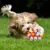 Schnüffelball – Futterspielmatte – Interaktives Puzzle