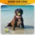 2 balles chien indestructible, 7 cm, jaune, jouet interactif