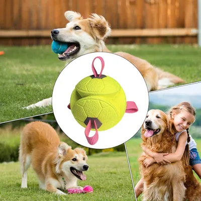 Puppy Chew Ball, corde + couinement, interactif, int/ext