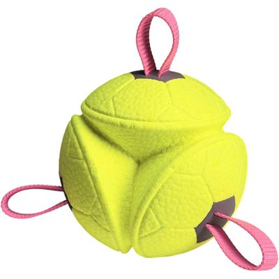Puppy Chew Ball, corde + couinement, interactif, int/ext