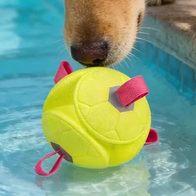 Puppy Chew Ball, corde + couinement, interactif, int/ext