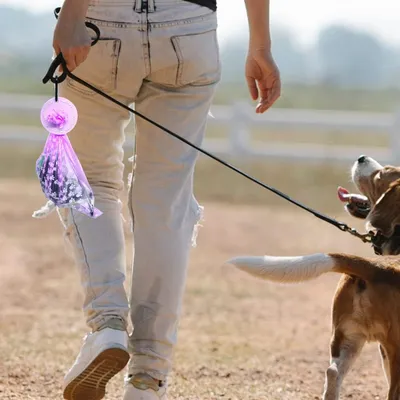 HausPets Récipient pour sacs à excréments pour chien HausPets Récipient pour sacs à excréments pour chien