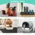 Hausofpets Nappes d'alimentation en silicone pour chien et chat