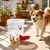 Smile Dispenser, Automatic Cats, Bowl Apartment, Living Room Cute Dog Water