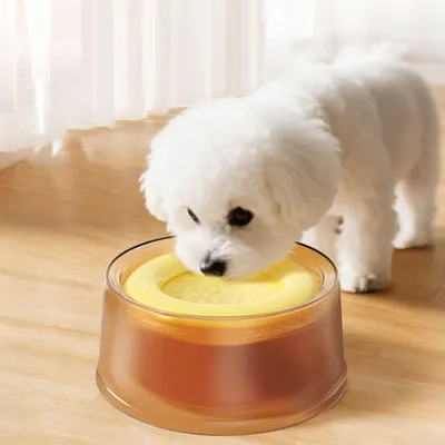 Gamelle chiens, disque flottant 1200 ml Gamelle anti-déversement maison,