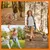 HausPets Trainingsleine 5m, reflektierend, gummiert HausPets Trainingsleine 5m, reflektierend, gummiert