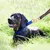 HausPets Laisse forme 8 anti-traction bleue HausPets Laisse forme 8 anti-traction bleue